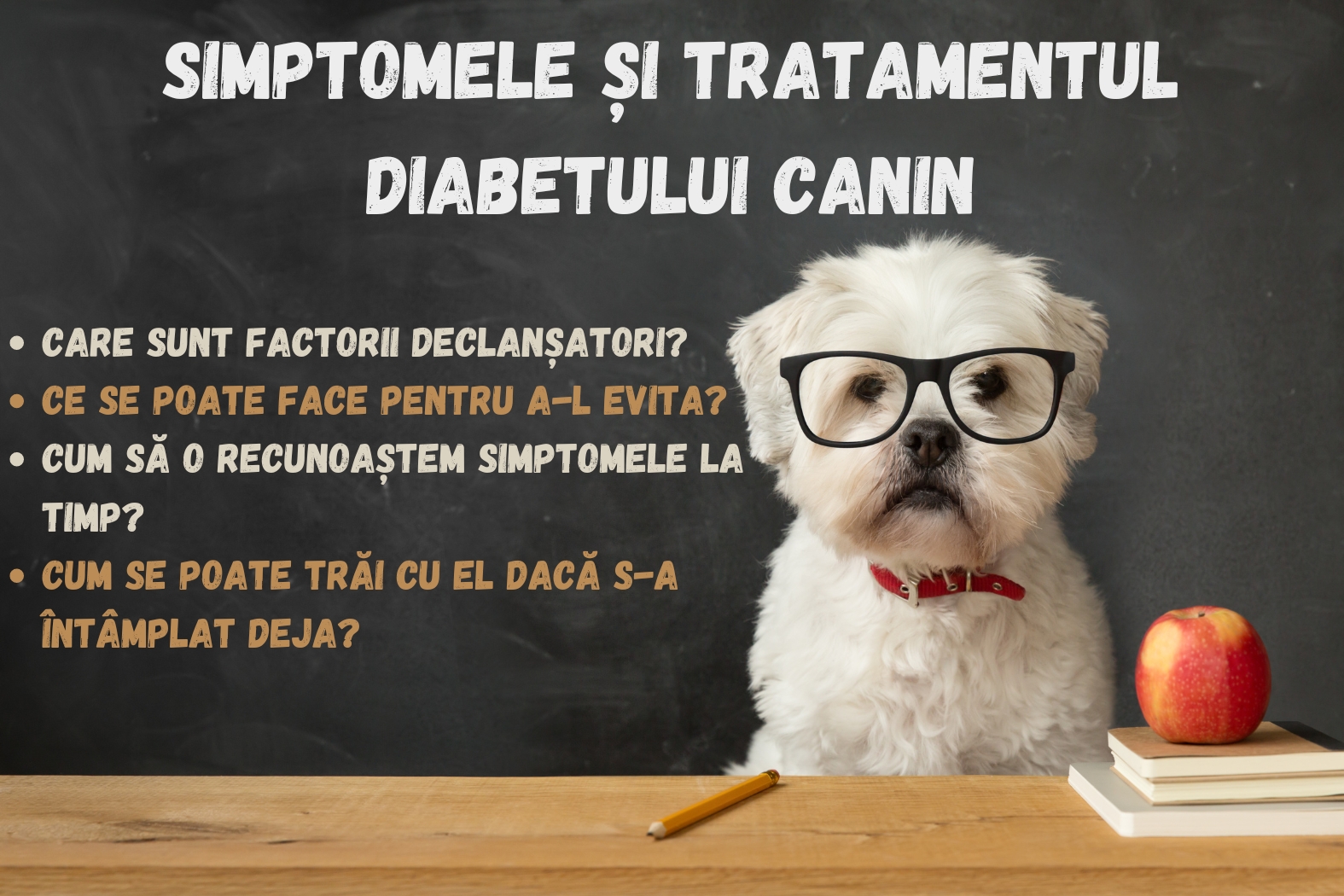 Simptomele și tratamentul diabetului canin