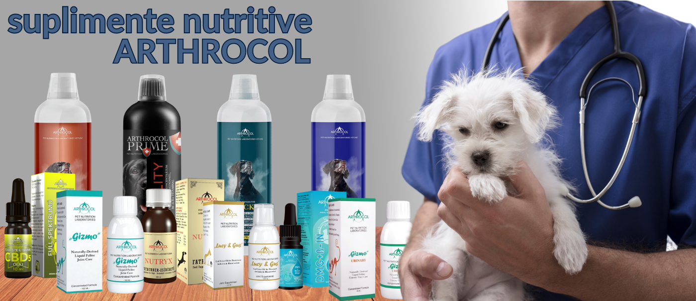 Suplimente nutritive Arthrool