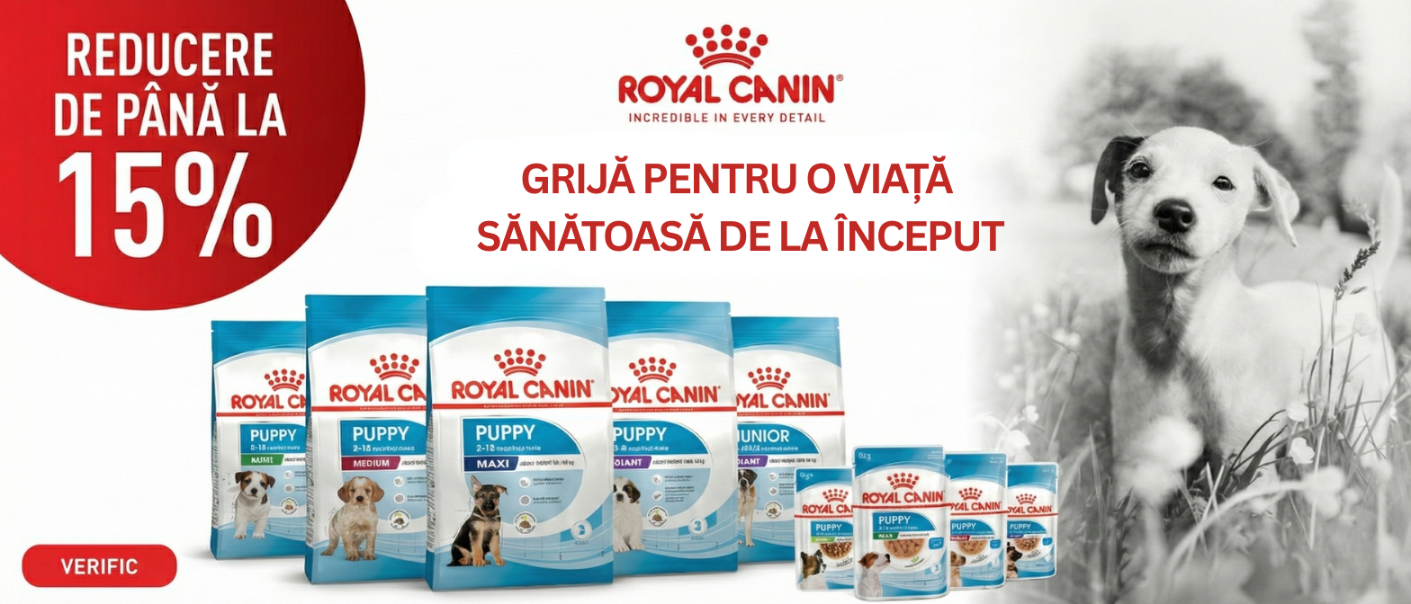 Hrana pentru căței