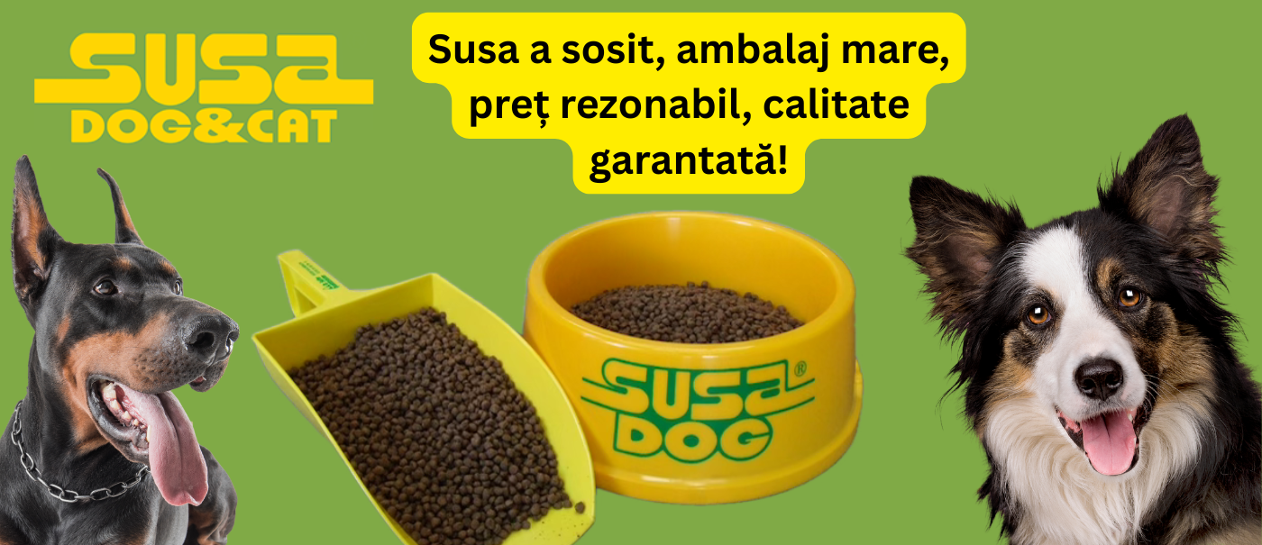 Susa