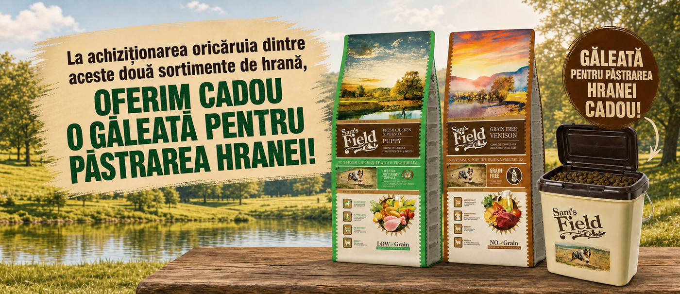 Promo Sam's Field