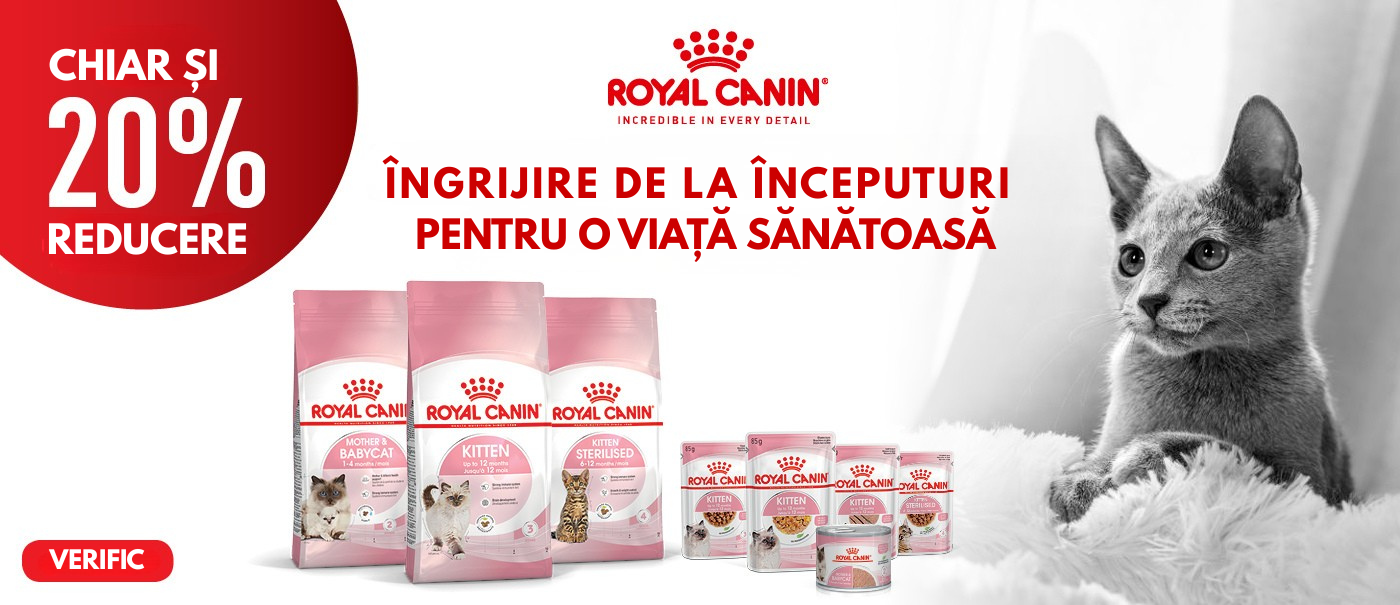 Royal Canin Kitten