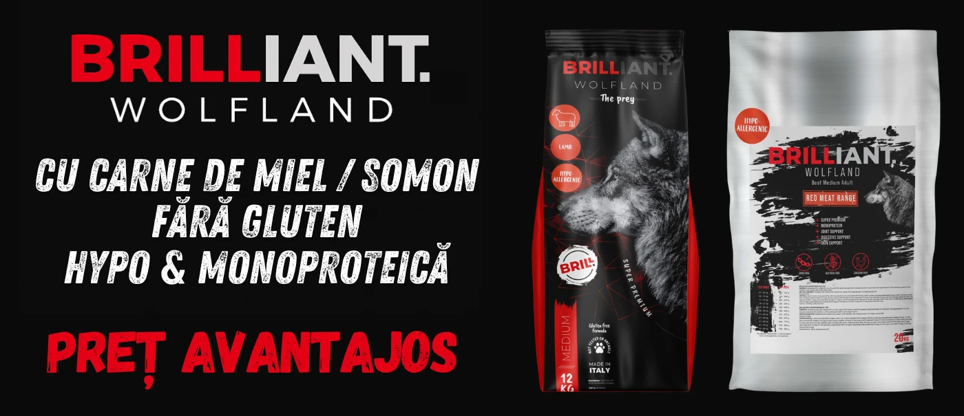 Brilliant Wolfland