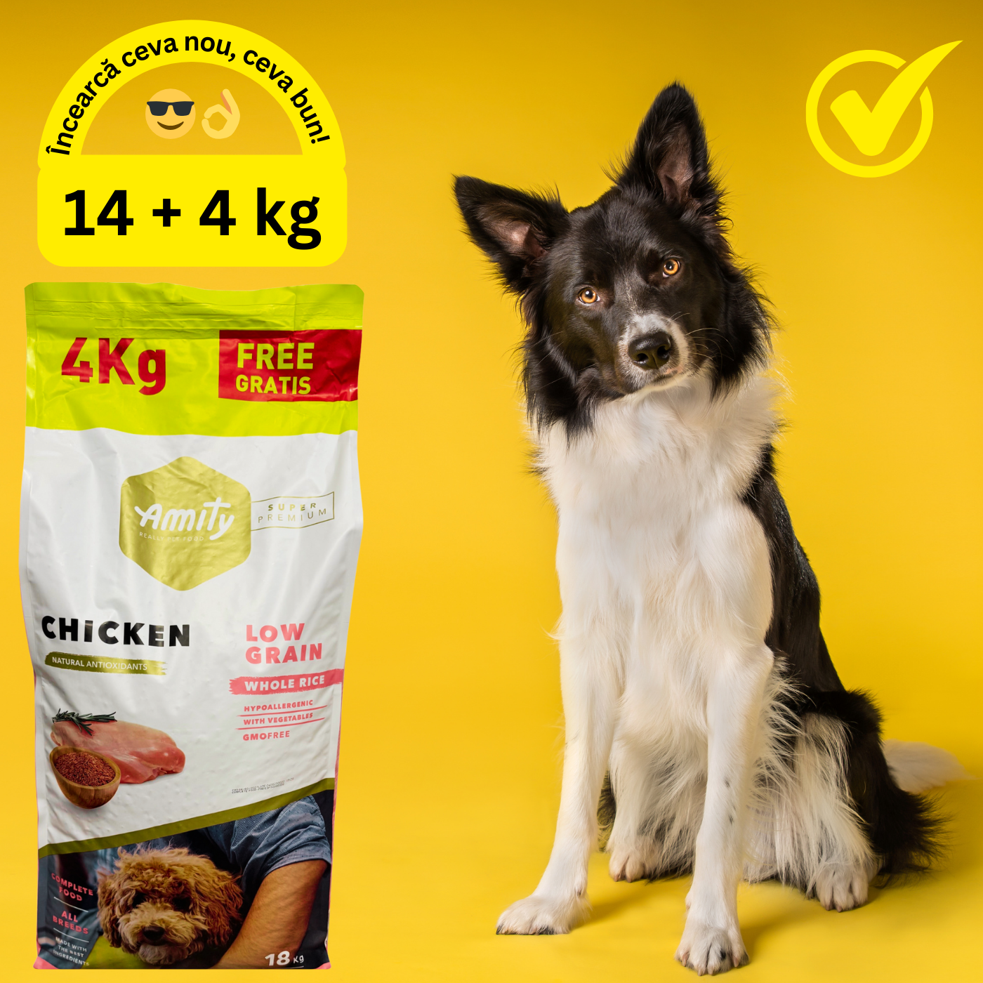 Amity Hypoallergen Dog Adult Chicken - zoom