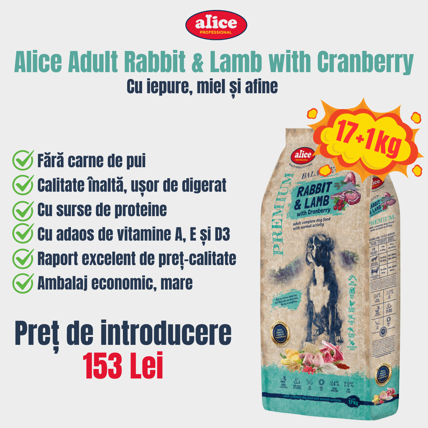 Alice Adult Balance+ Rabbit & Lamb with Cranberry - zoom