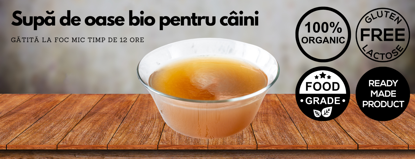 Food Studio – o adevărată experiență gastronomică în bol, care a devenit favorita câinilor 🍲