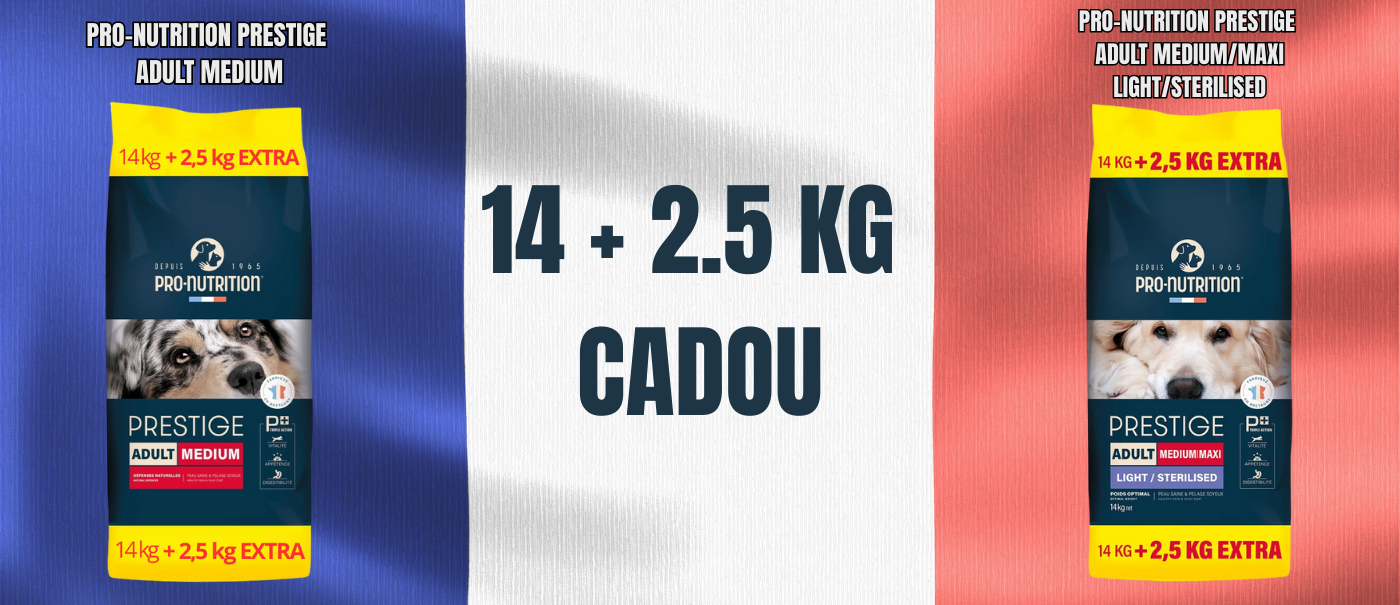 🎁 Acum oferim cadou 2,5 kg de hrană premium franceză pentru câini! 🐶