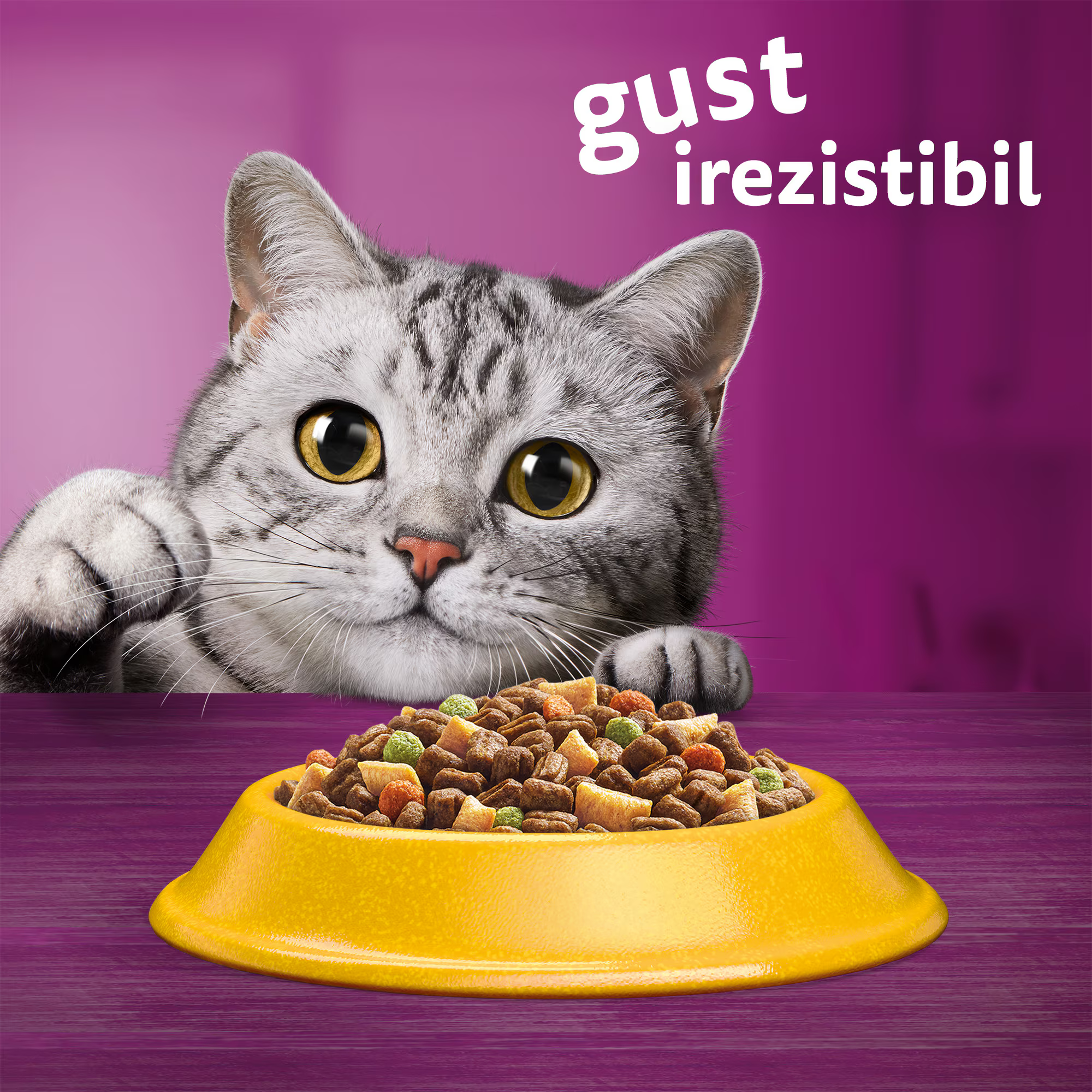 Whiskas - Hrană uscată pentru pisici adulte, cu pui şi legume - zoom
