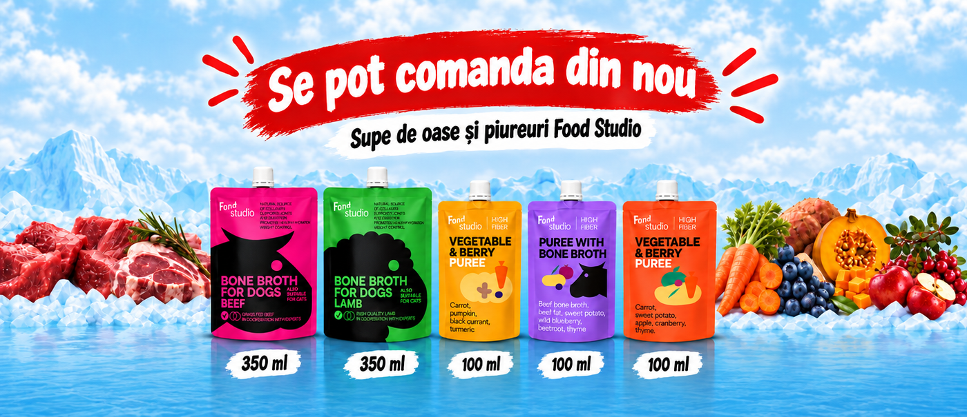 Food Studio