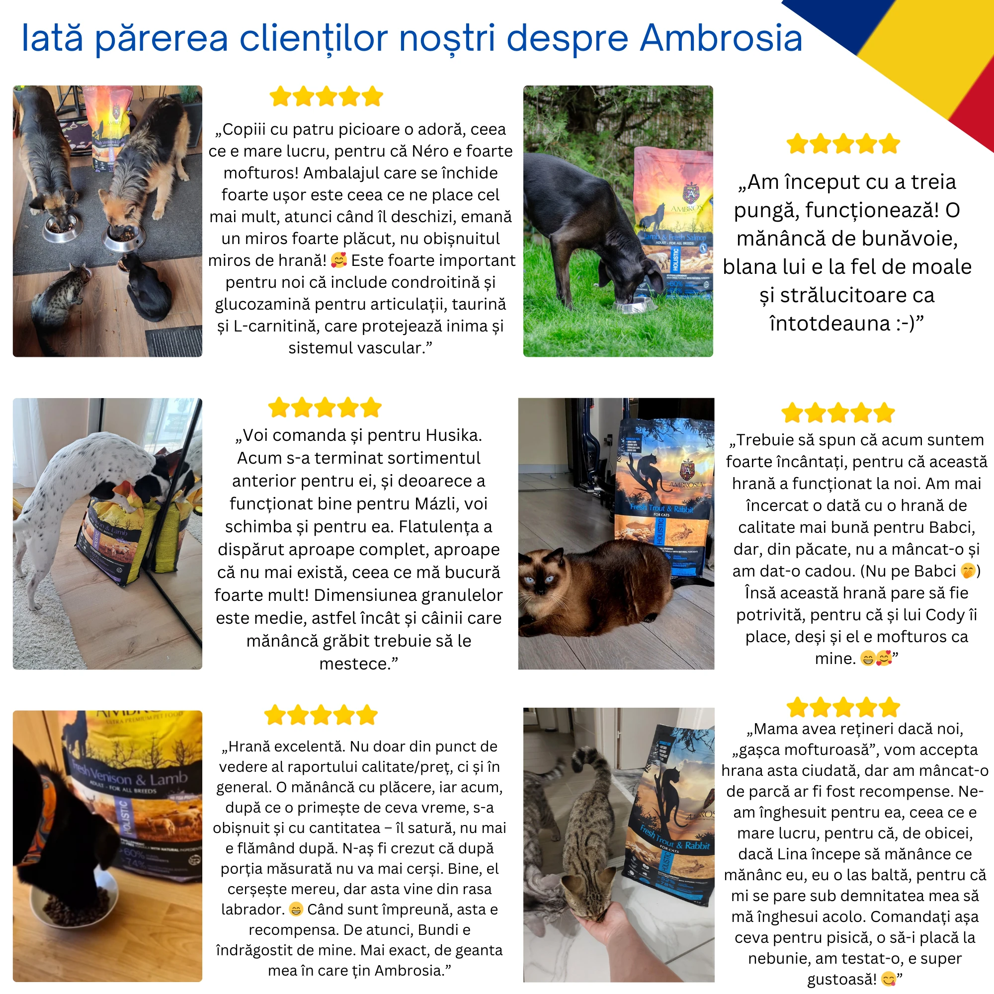 Recenzii Ambrosia