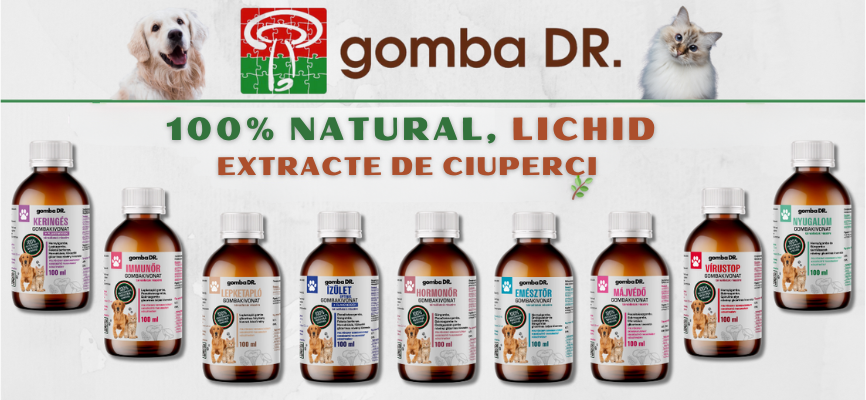 Vă prezentăm extractele lichide de ciuperci medicinale Gomba Dr. (Ciupercă Dr.)