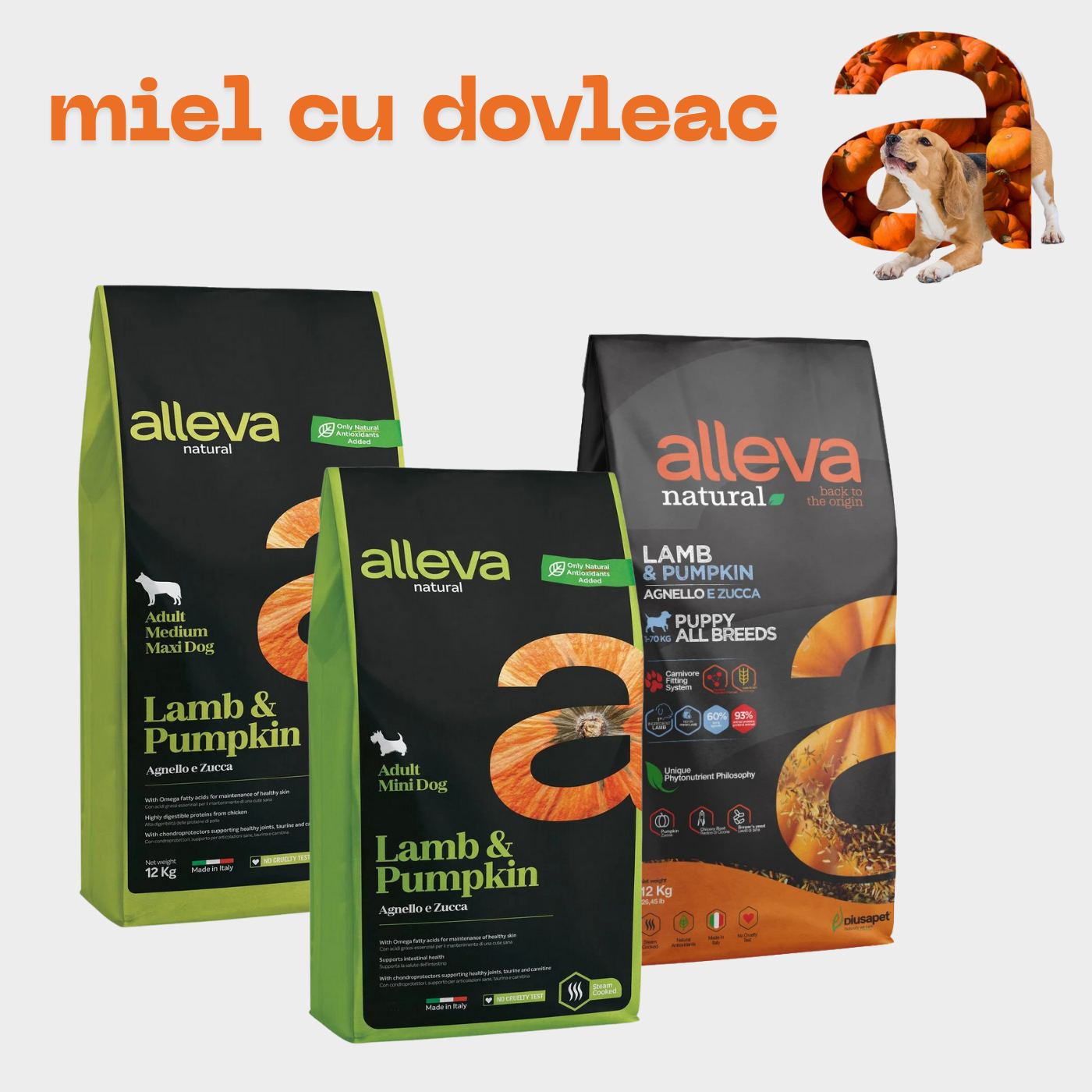 Alleva Natural Dog Lamb & Pumpkin Adult Mini - zoom