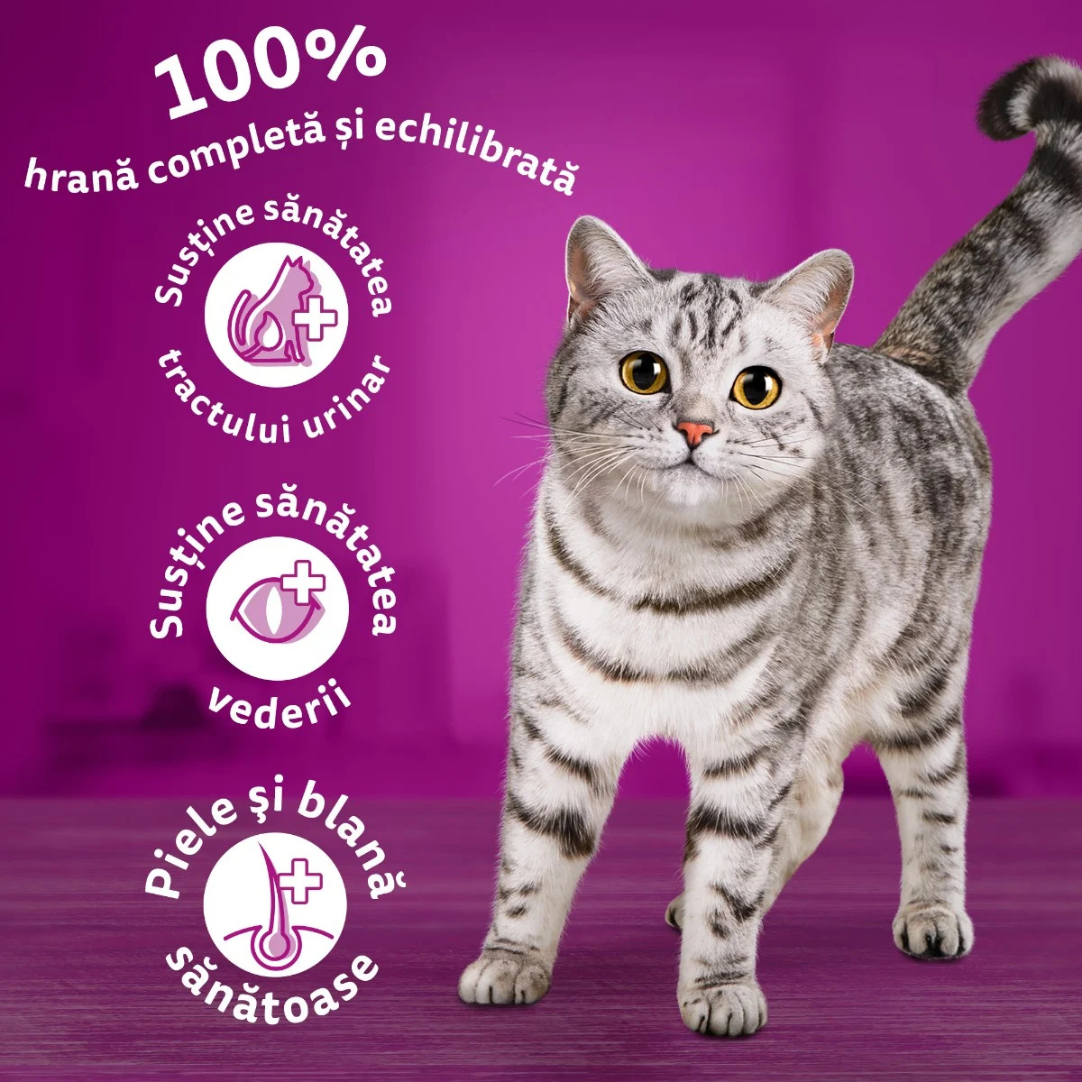 Whiskas - Hrană uscată pentru pisici adulte, cu vită - zoom