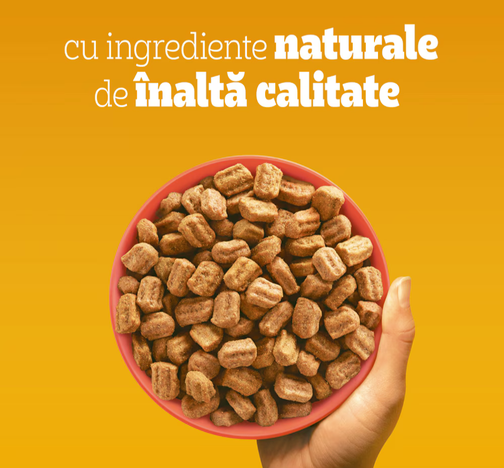 Pedigree Adult hrană uscată cu vită - zoom