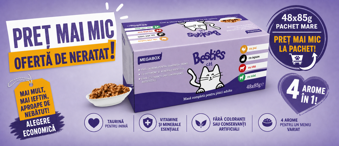 Besties Cat Megabox