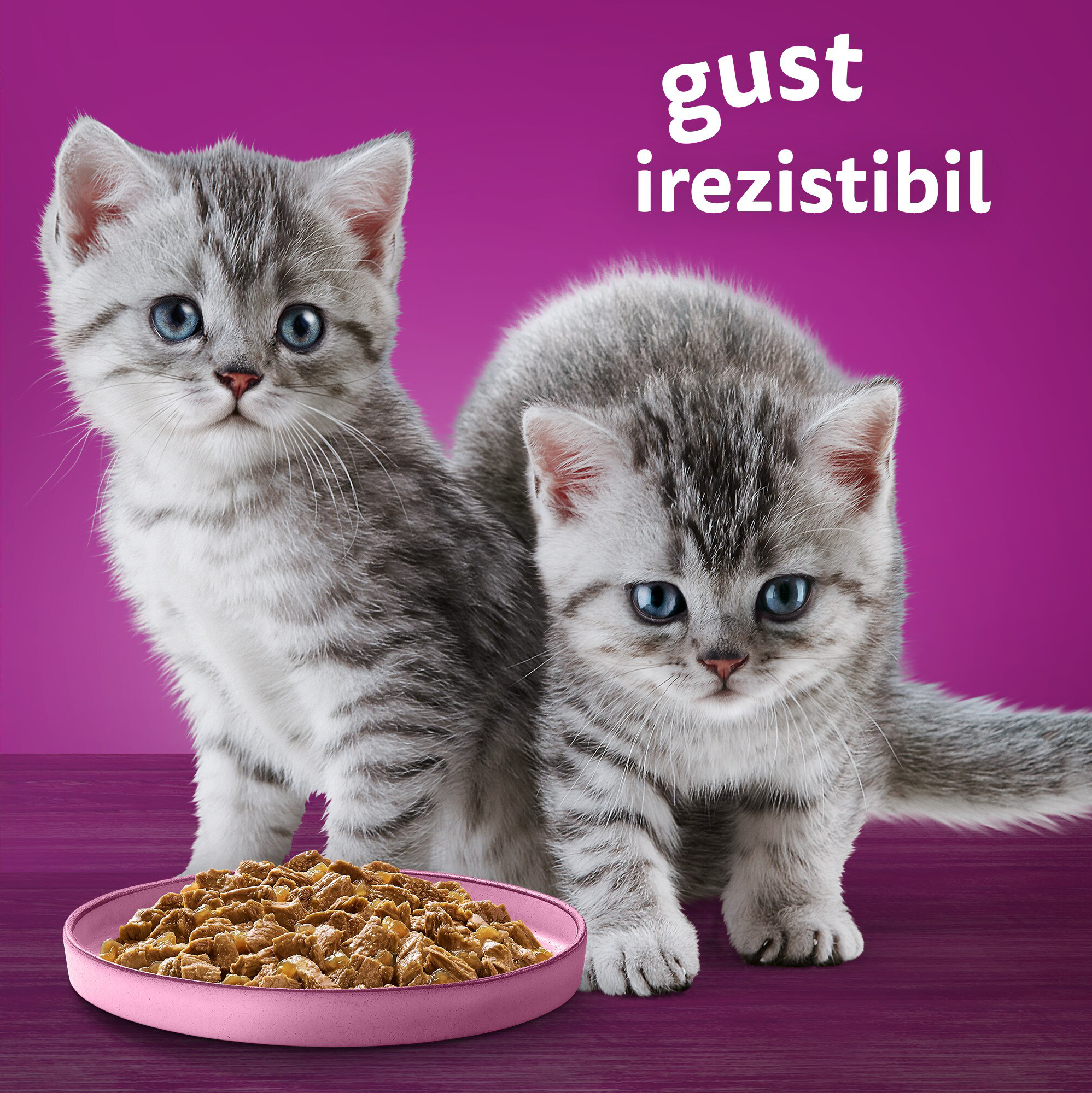 Whiskas Junior - Hrană uscată pentru pisicuţe junior, cu pui - zoom
