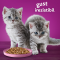 Whiskas Junior - Hrană uscată pentru pisicuţe junior, cu pui