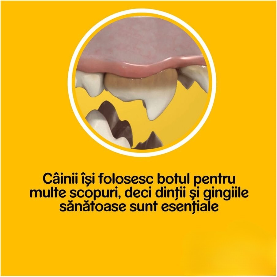 DentaStix Pedigree - zoom