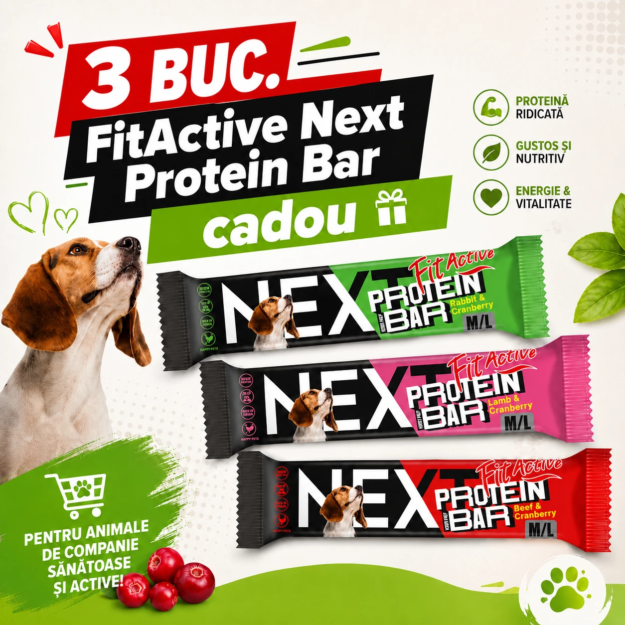 CADOU 3 BATOANE PROTEICE