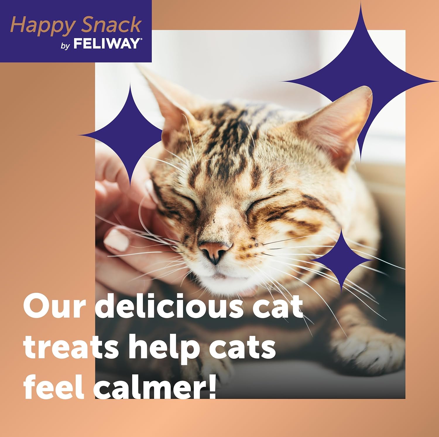 Happy Snack by Feliway Salmon - zoom