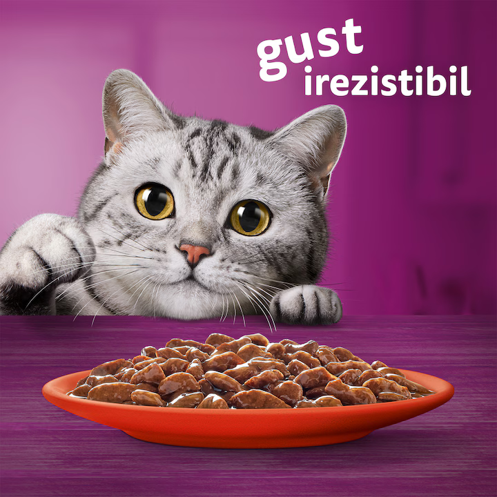 Whiskas Classic Meals in Sauce, 80 x 85 g - zoom