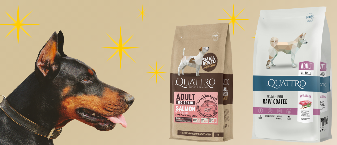 ✨ Blană strălucitoare și digestie fără probleme? A revenit Quattro pentru gurmanzi!