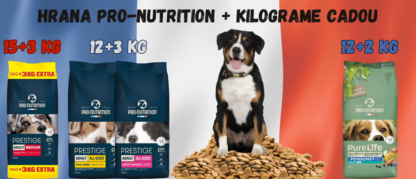 📈Mai multă hrană pentru câini, mai puține cheltuieli – kilograme cadou la anumite tipuri de hrană Pro-Nutrition 📈Mai multă hrană pentru câini, mai puține cheltuieli – kilograme cadou la anumite tipuri de hrană Pro-Nutrition