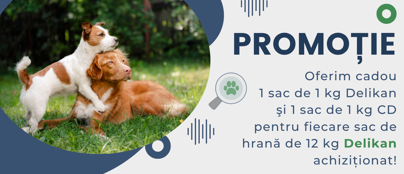 Promo Delikan