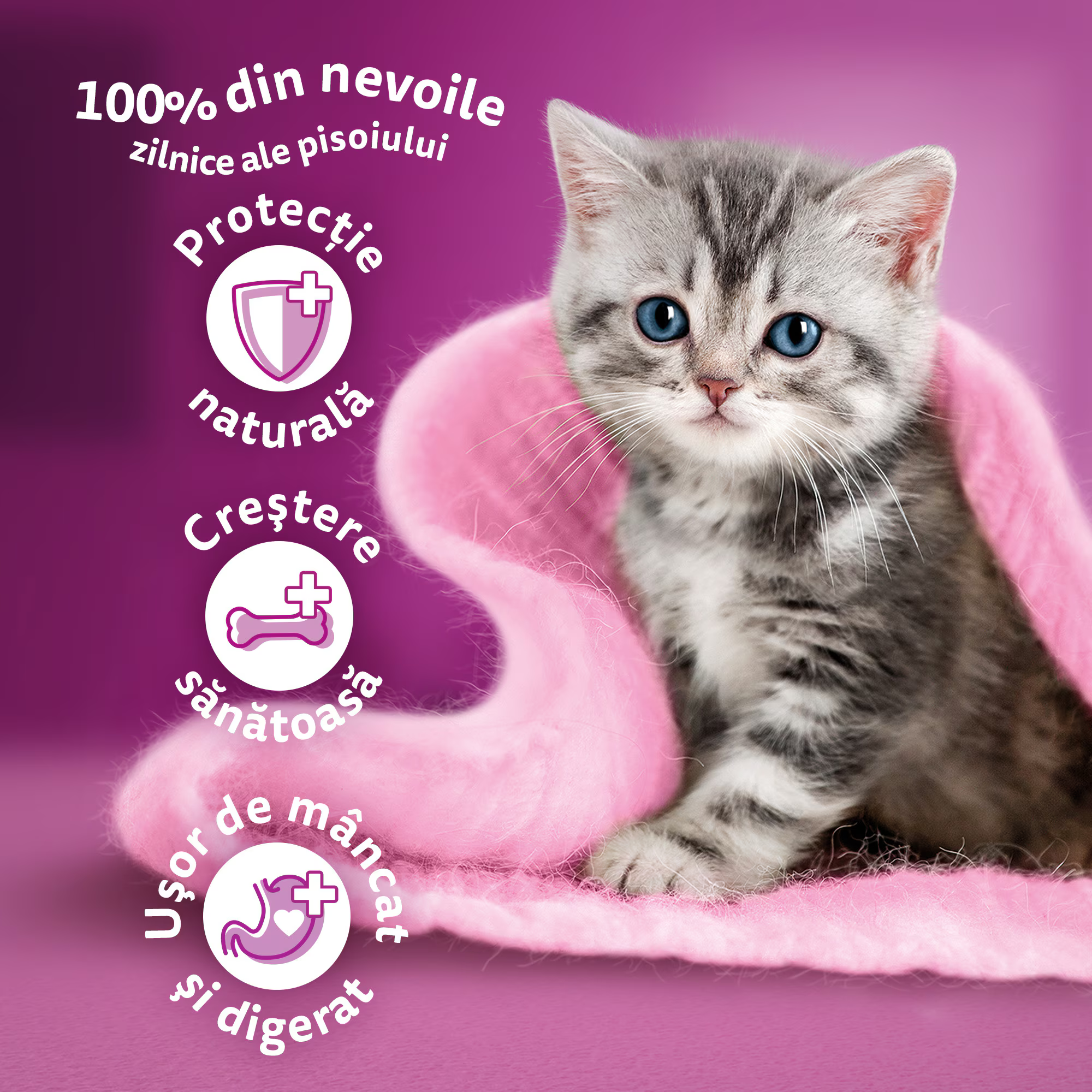 Whiskas Junior - Hrană uscată pentru pisicuţe junior, cu pui - zoom