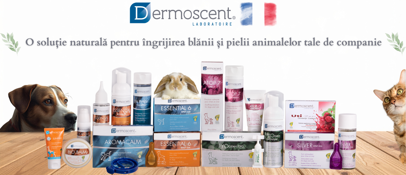 ⚕️ Îți prezentăm Dermoscent – inspirat de natură, creat prin expertiză veterinară ⚕️ Îți prezentăm Dermoscent – inspirat de natură, creat prin expertiză veterinară