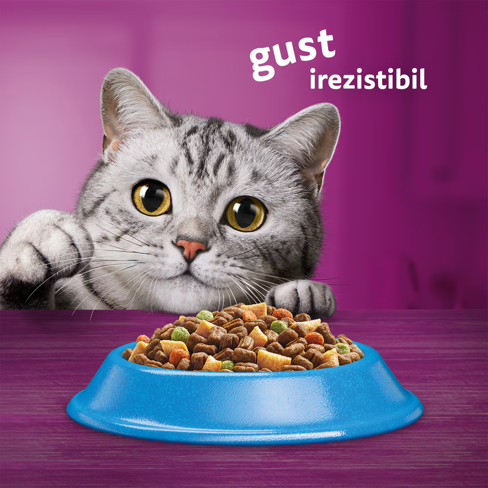 Whiskas - Hrană uscată pentru pisici adulte, cu ton - zoom