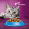 Whiskas - Hrană uscată pentru pisici adulte, cu ton