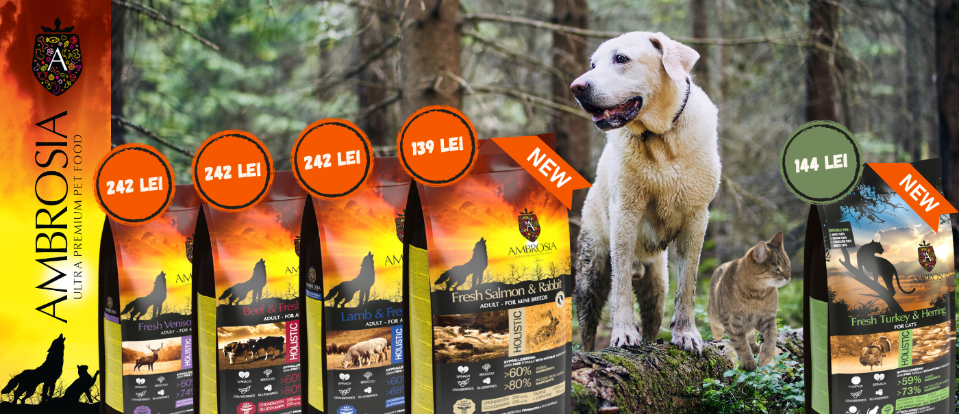 Ambrosia Lamb & Fresh Salmon Adult - zoom