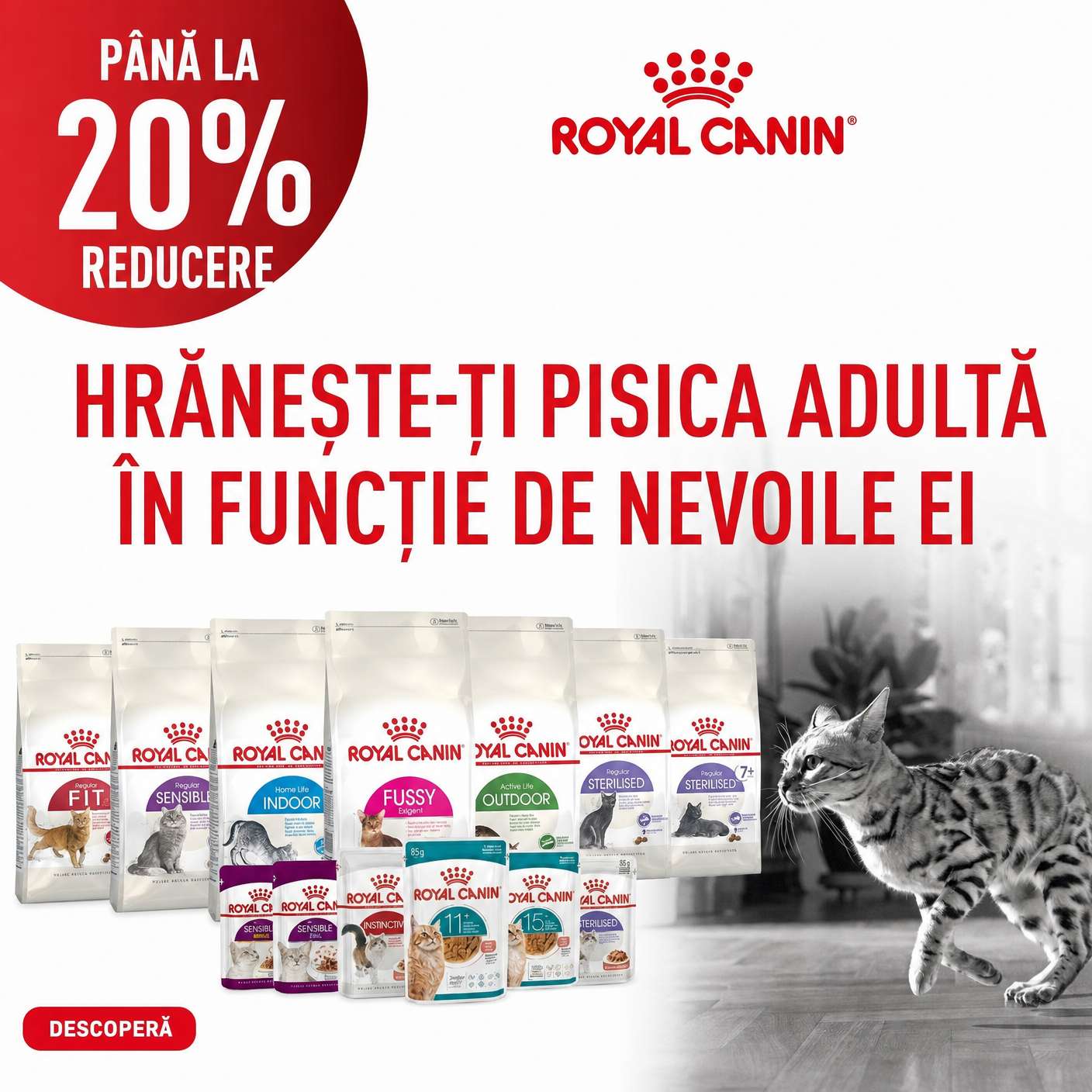 Royal Canin pentru pisici și câini, cu reduceri de până la 20%