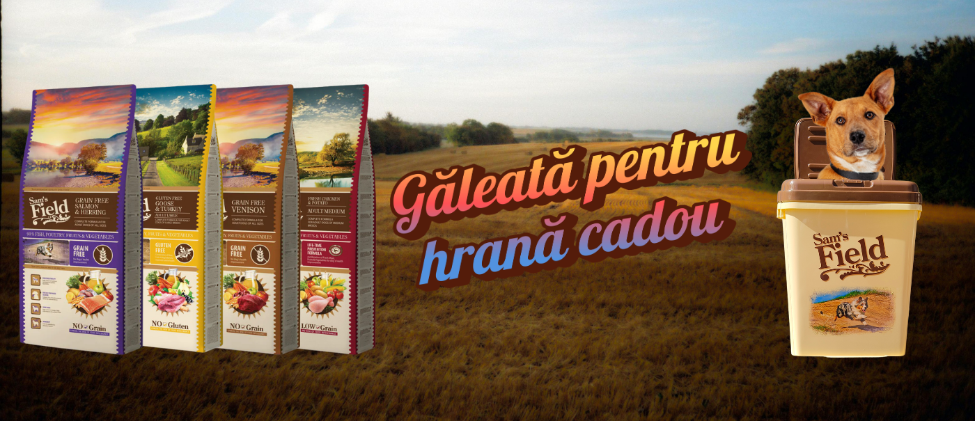 Sams Field galeata cadou